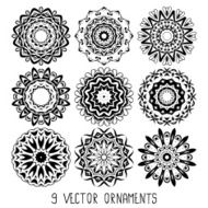 ornament vector set