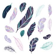 Dark and light colored feathers