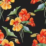 Watercolor nasturtium flower pattern N2