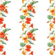 Watercolor nasturtium flower pattern N3