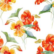 Watercolor nasturtium flower pattern N5