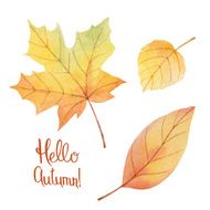 Watercolor autumn leaves