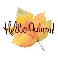 Watercolor autumn leaves N3
