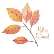 Watercolor autumn leaves N4