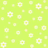Floral Pattern N723