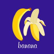 vector banana N2