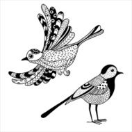 two birds N3