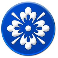 Fancy ornament icon