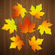 Autumn background with leaf and wood texture Vector illustration