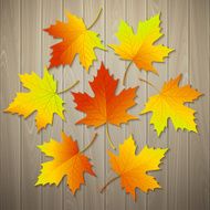 Autumn background with leaf and wood texture Vector illustration N2