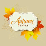 Autumn typographic Fall leaf Vector illustration N2