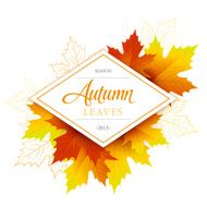 Autumn typographic Fall leaf Vector illustration N3