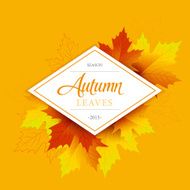 Autumn typographic Fall leaf Vector illustration N4