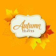 Autumn typographic Fall leaf Vector illustration N5