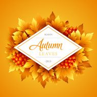 Autumn typographic Fall leaf Vector illustration N6