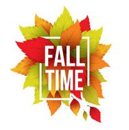 Autumn typographic Fall leaf Vector illustration N7