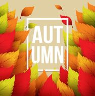 Autumn typographic Fall leaf Vector illustration N8
