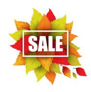Autumn typographic Fall leaf Vector illustration N9