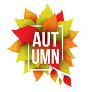 Autumn typographic Fall leaf Vector illustration N10