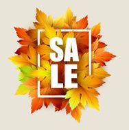 Autumn typographic Fall leaf Vector illustration N12