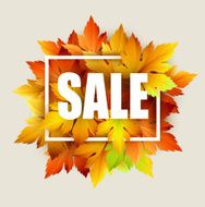 Autumn typographic Fall leaf Vector illustration N13