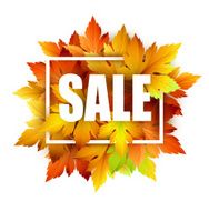 Autumn typographic Fall leaf Vector illustration N14