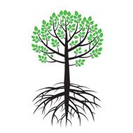 Summer Tree and Roots Vector Illustration