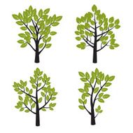 Set of Black Tree and Green Leafs Vector Illustration