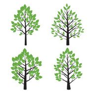 Set of Tree and Green Leafs Vector Illustration