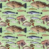 Fish repet N2