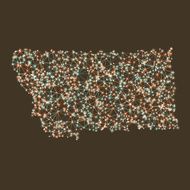 Montana Map Network Mesh