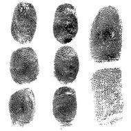 Set of fingerprints illustration N3