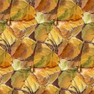 Watercolor Leaves N7