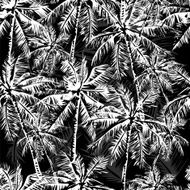 tropical pattern N25