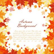 Autumn Frame N38
