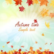Autumn Frame N40