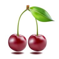 Ripe red cherry berries with leaves N2