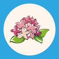 flower theme elements vector eps N13