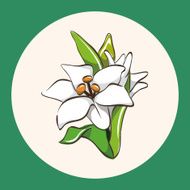 flower theme elements vector eps N14
