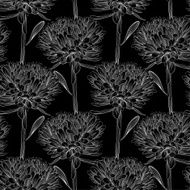Beautiful monochrome black and white seamless background with flowers aster N5