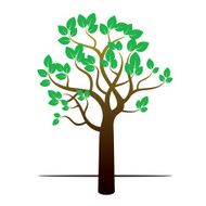 Color Tree and Green Leafs