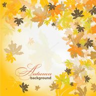 Maple autumn background vector N2