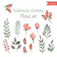 set of watercolor berries flowers and leaf
