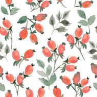 hand drawn red watercolor berries seamless pattern N8