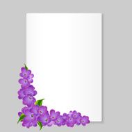Frame with lilac on white paper sheet