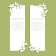 Set of two vertical banners with snowdrop flowers