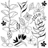 Tropical flower hand drawn sketch