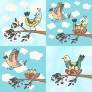 Birds and chicks