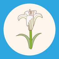 flower theme elements vector eps N51