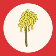 flower theme elements vector eps N55